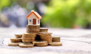 house-coins
