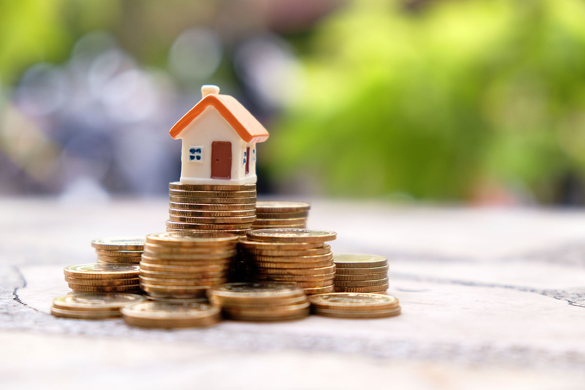 house-coins