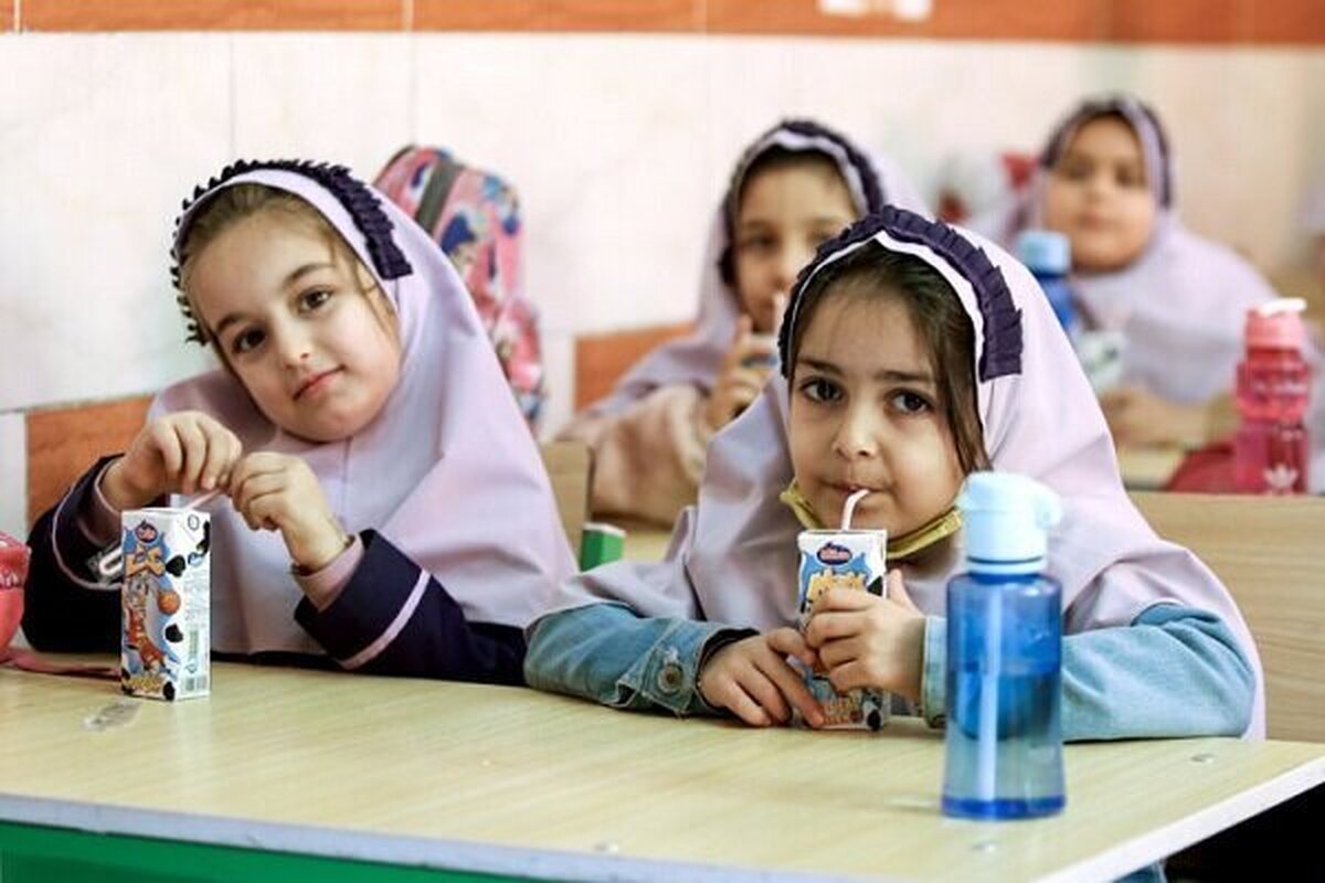 نان غنیشده، جایگزین احتمالی شیر در مدارس